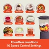 bella Fits-anywhere™ Flip & Store Blender, 48 oz, 520W,10-speed, Plum(Plum)